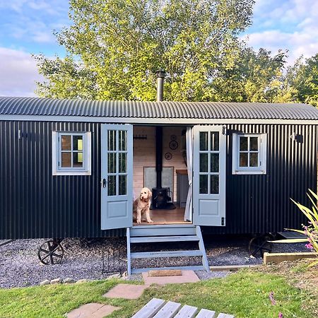 Mountain View Shepherd'S Hut For 2 Adults, 1 Dog Vila Llangoed Exterior foto